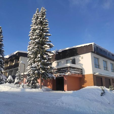 Penzion Aktiv Vysoké nad Jizerou エクステリア 写真